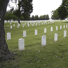 U.S. Burial Ground - Due West City Cemetery